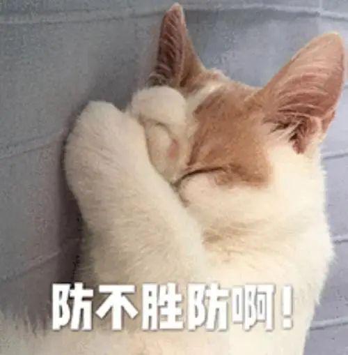 后续：最大的雷是国人正在裸奔九游会J9某度副总裁女儿网暴