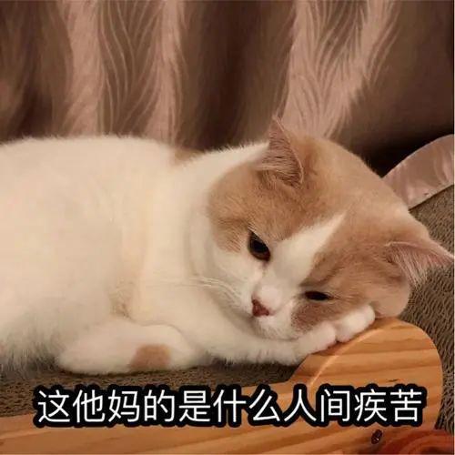 后续：最大的雷是国人正在裸奔九游会J9某度副总裁女儿网暴(图7)