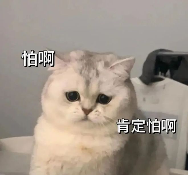 后续：最大的雷是国人正在裸奔九游会J9某度副总裁女儿网暴(图11)